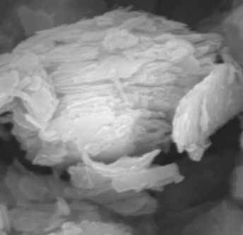REM-Aufnahme: Plättchenstruktur von Metakaolin